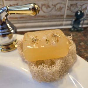 Soap Bars